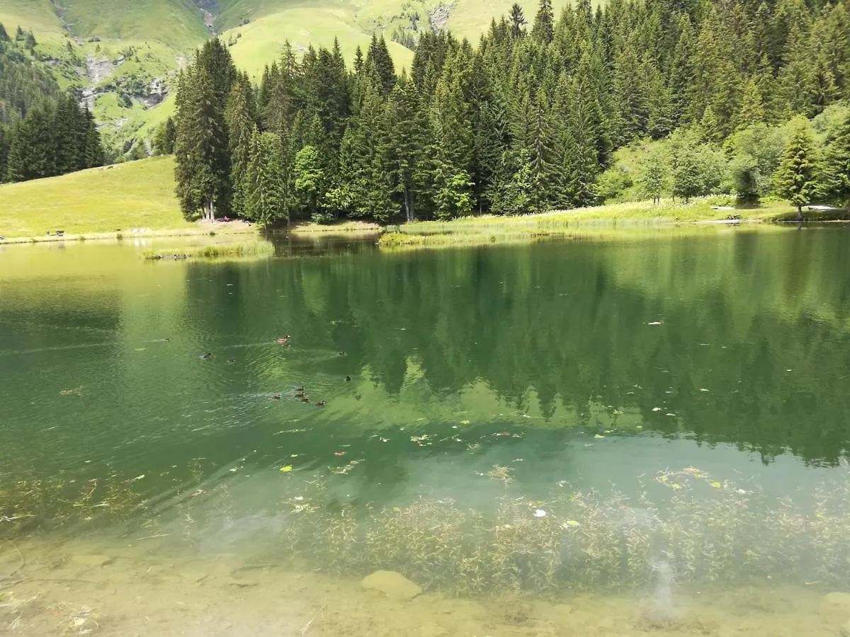 Avoriaz Cocooning Διαμέρισμα 0*,  Γαλλία